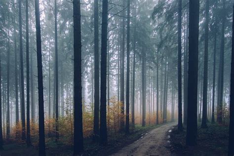 British skier shares afterlife experience; claims to have seen a ...