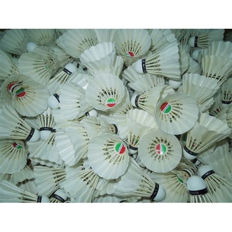 Shuttle Cock Feather Texture 的图像结果