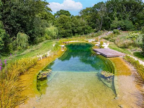 Pond Pools Swimming – Types Of Swimming Pond – UIEB