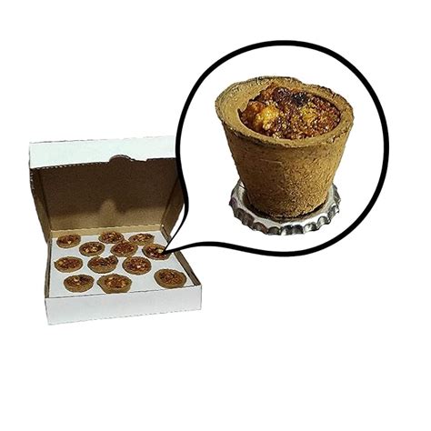 Flossy Store ; Loban Sambrani Dhoop Cup with Burner Plate, Natural ...