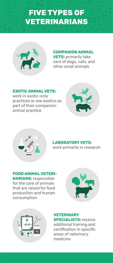 What Are All The Different Types Of Veterinarians at Dennis Marquis blog