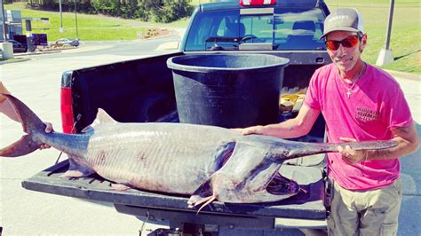 Biggest Fish In The World Ever Caught
