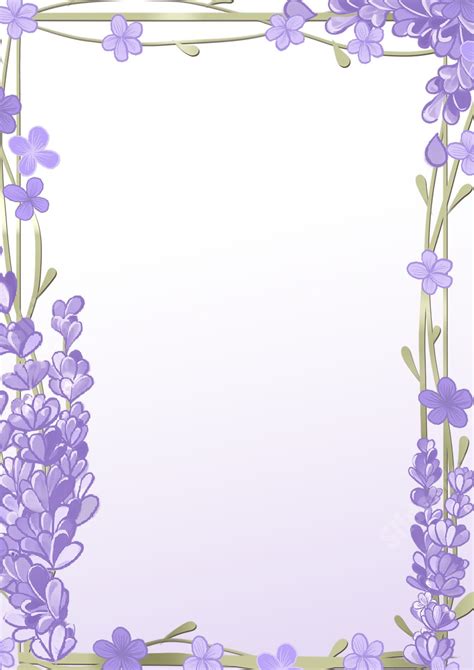 Best Lavender For Narrow Border at Susan Mcdaniel blog