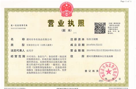 营业执照-重庆大地防雷技术有限公司