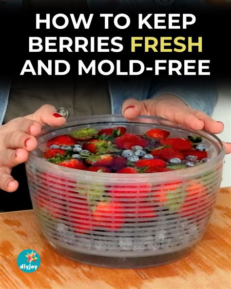 How to Keep Berries Fresh and Mold Free in 2025 | Fruit and vegetable wash, Fresh berries, Fruit ...