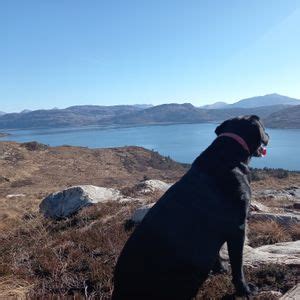 BLs and defib session in Lochcarron, Lochcarron, Wester Ross, Broadford ...