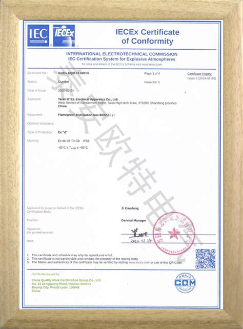 BXK57(IEC新版认证)-荣誉资质-泰安欧特电气有限公司