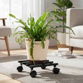 Shop Top-rated Plant Stands for Home and Garden | Ugaoo