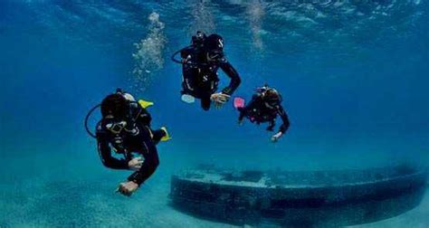 Ocean Dive Center, One of the best diving & snorkelling centre arround ...