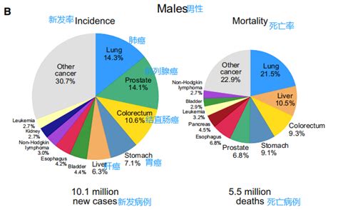 2020全球癌症数据,癌症发病率和死亡率数据变化-厚朴方舟