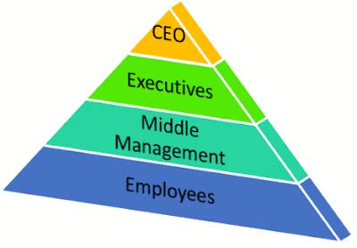 Organization Pyramid Structure 的图像结果