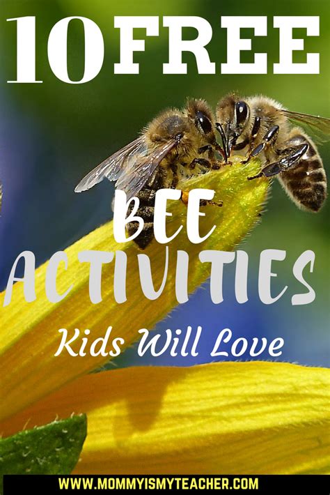 Image result for Bee Sorting Activity for Spring