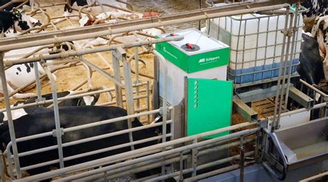 The 3 steps to prevent ketosis in cattle