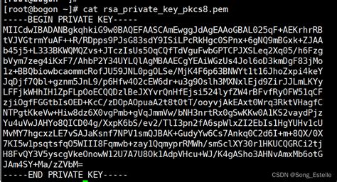 Java 使用openssl生成的RSA公私钥证书加密文本内容_java rsa生成pem和key证书-CSDN博客