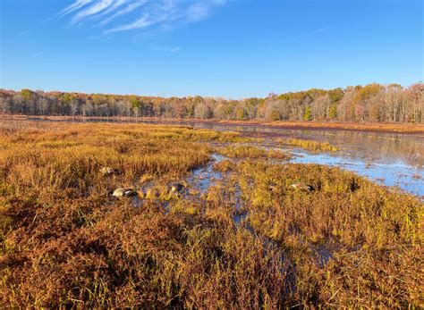 Huntley Meadows Park in Alexandria, Virginia