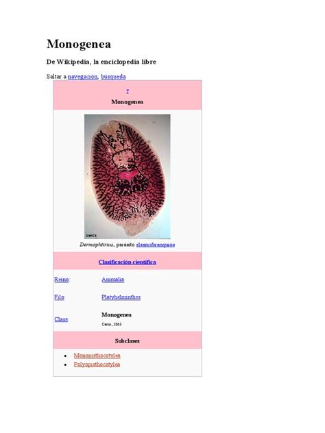 Image result for CSS Grid Pattern Example