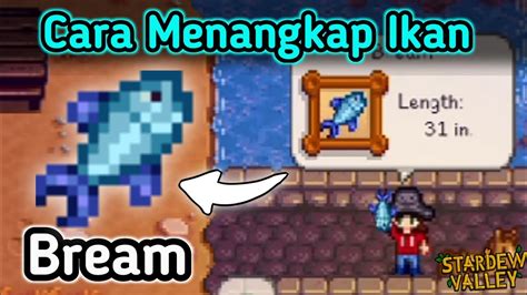Cara Menangkap Ikan Bream Di Stardew Valley - YouTube