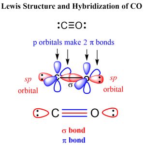 Image result for Chemistry Lab Notebook UTSC Examples