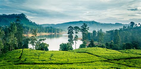 Explore Kerala's Best Places: A Comprehensive Guide by Incredible Vacation