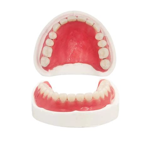 Do It Yourself Denture Fake Teeth Top and Bottom India | Ubuy