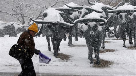 Dallas, Texas snow history: What's the most DFW has seen in one day ...