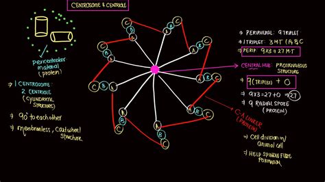 Image result for Roll Back Netcode