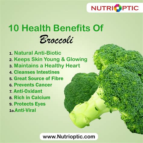 Nutrillion Research Pvt ltd on LinkedIn: 10 Health Benefits Of Broccoli 1. Natural Anti-Biotic 2 ...