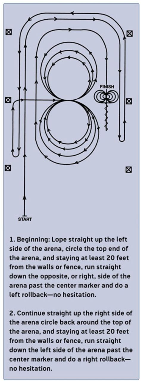 Image result for Reining Tutorials