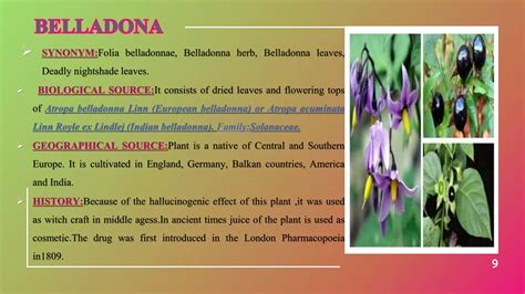 Alkaloids vinca,rauwolfia,belladona,opium | PPTX