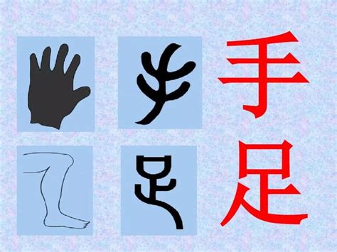 国学文化——认识象形文字---杭州图书馆