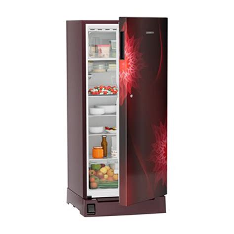Liebherr DFPrmC2221 Plus 222L Single Door Refrigerator - 3 Star Energy ...