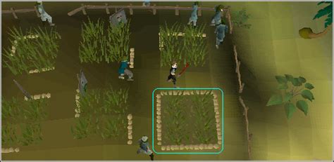 Image result for Rum Deal Quest Guide