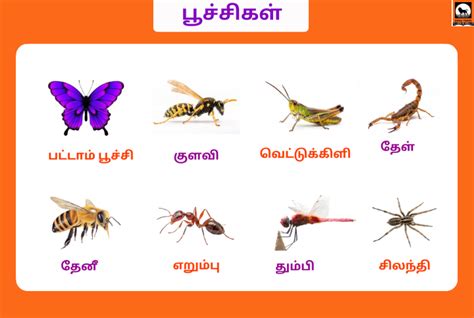 Image result for HTML Logo Color
