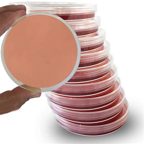 Macconkey Agar Plate MacConkey Agar With Sorbitol | AuSaMicS Australia