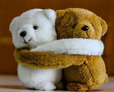 Bbest Teddy Bear Gift Ideas On Teddy Day | best teddy bear gift ideas ...