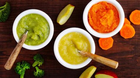 Homemade Puree Ideas With A Hand Blender For Your Little One