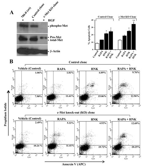 A Novel Combination Treatment with Honokiol and Rapamycin Effectively ...