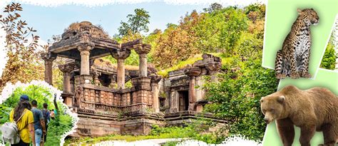 Travel Agent in Ahmedabad, Gujarat | Gujarat Travel Agency