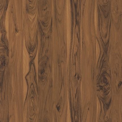 1224 SPICE OAK DYNAMO || Goldlam