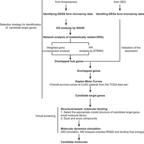 Image result for David Database Tutorial