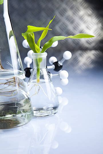 Biotechnology No Background 的图像结果