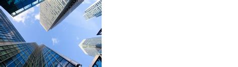 360° Project Service