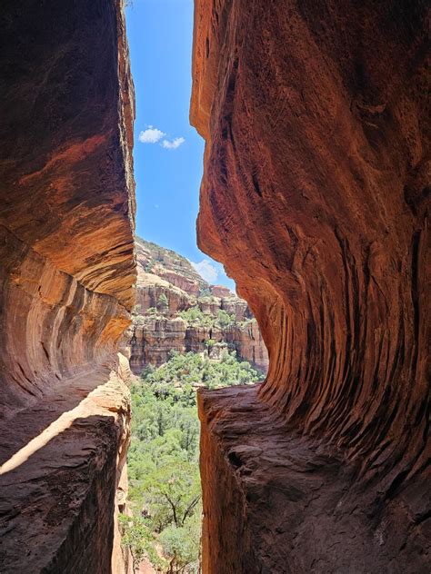 Today is International Mountain Day so here is a photo I took of the ...