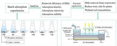 Application of Phosphate Materials as Constructed Wetland Fillers for ...