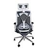 segour standard adjustable height high back mesh chair for office/shop ...