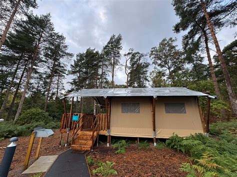 THE SANDRINGHAM ESTATE EXPERIENCE FREEDOM GLAMPING - Campground Reviews ...