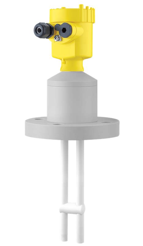 Capacitive double rod electrode - Continuous level measurement of ...