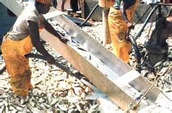 'Don't fish': a global call