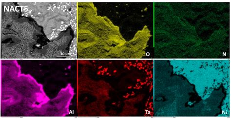 Thermogravimetric and Metallographic Study of the Oxidation Behaviors ...