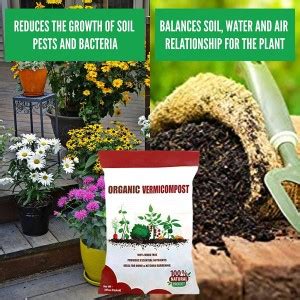 TRADITIONAL TRENDZZ ™ XXL-032 - Vermicompost Organic Fertilizer Natural ...